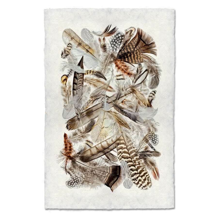 Collective Feathers Print