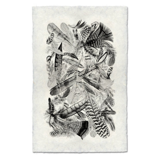 Collective Feathers, B&W