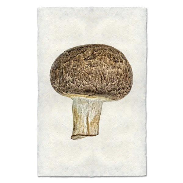 CREMINI MUSHROOMS