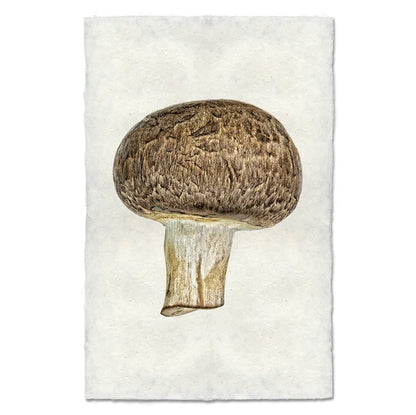 Cremini Mushroom