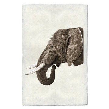 Safari Elephant Print