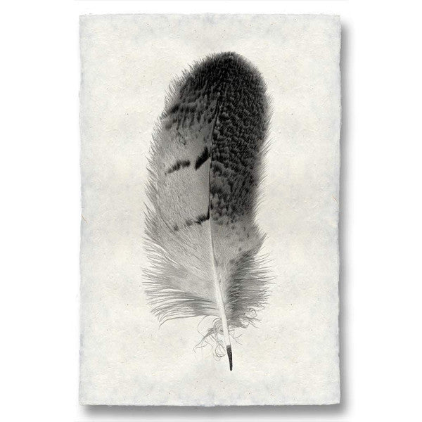 Feather #7 Print (Owl)