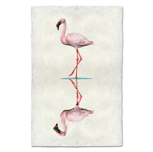 Flamingo #2, Water Fowl Study