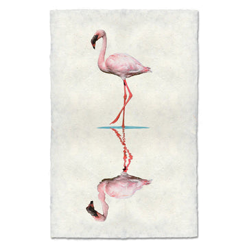 Water Fowl Study - Flamingo #2