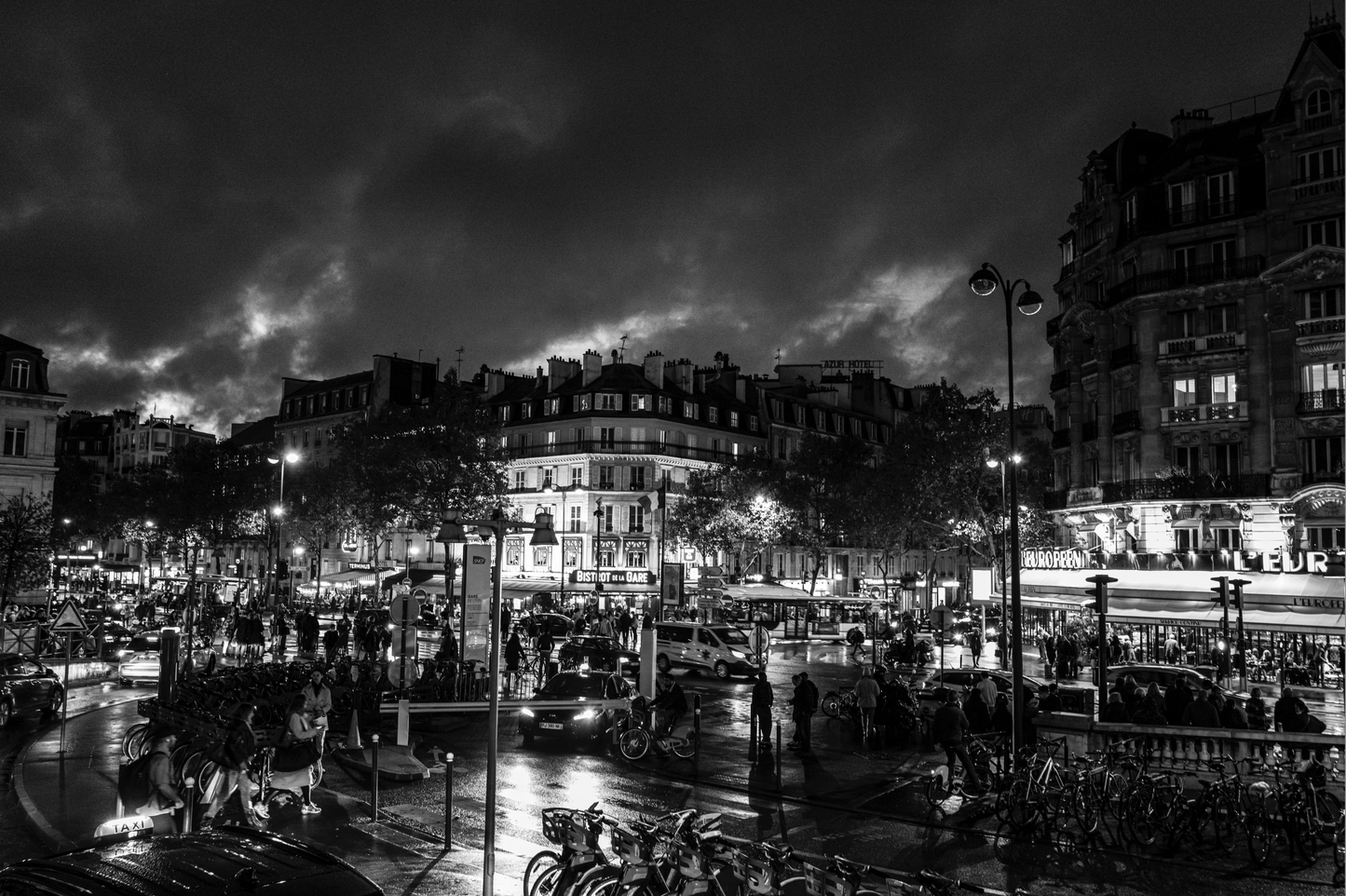 Paris Gare de Lyon by Stephen Pile