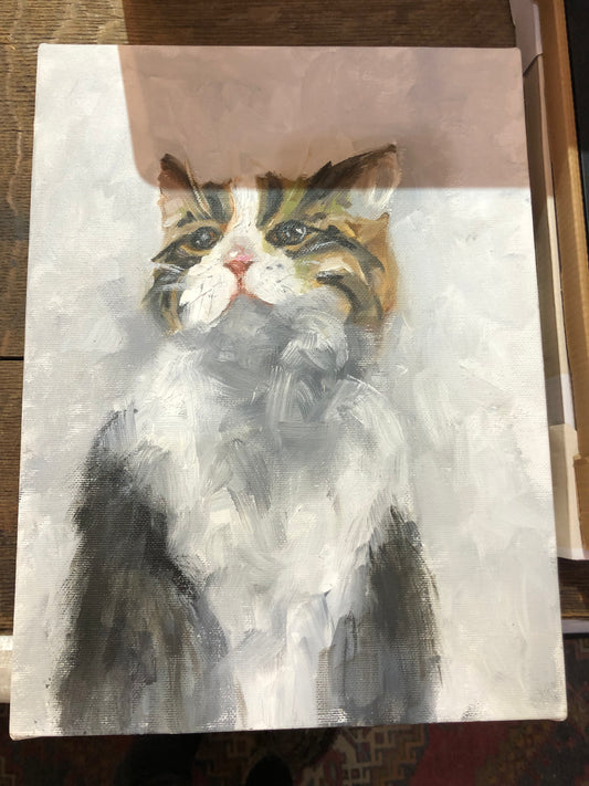 Cat - Unframed