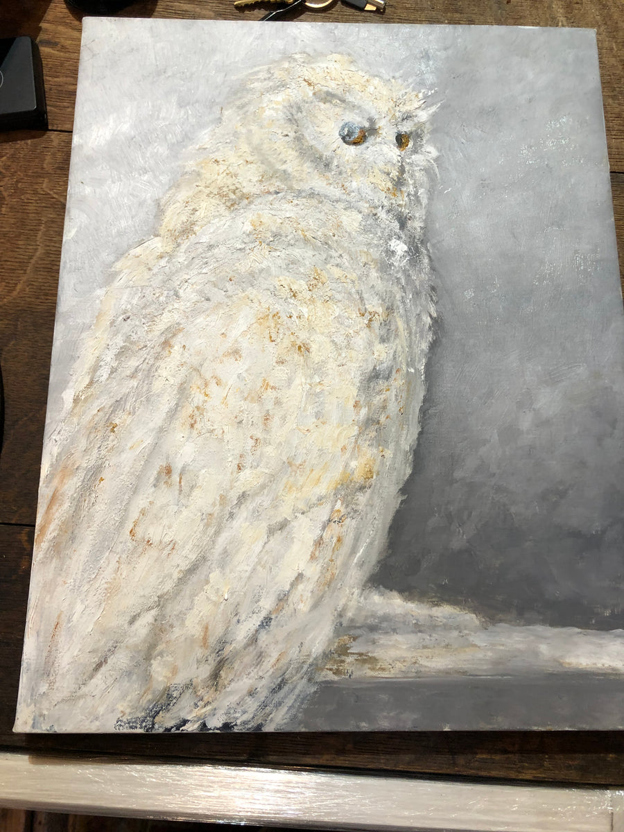 Snowy Owl - Unframed