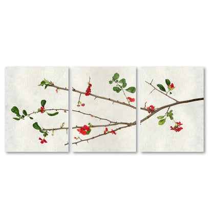 QUINCE TRILOGY TRIPTYCH PRINT