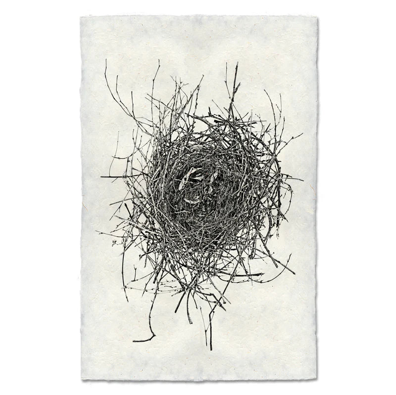 Nest #16 Print