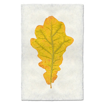 Autumn Leaf Print- OAK LEAF