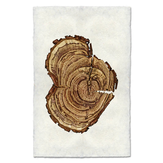 PLUM WOOD RING #4