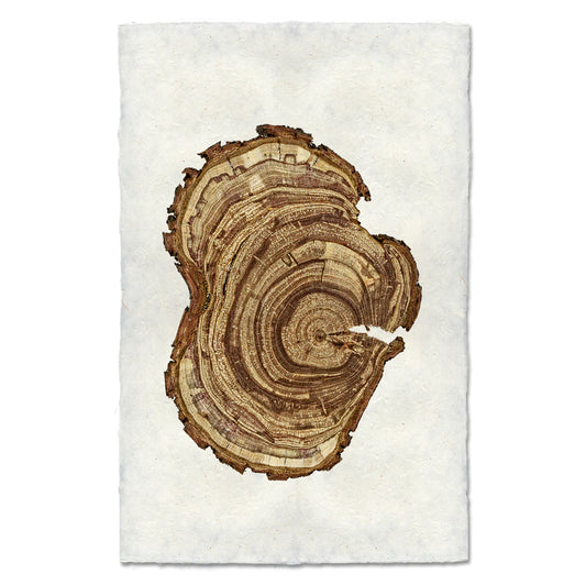 PLUM WOOD RING #5