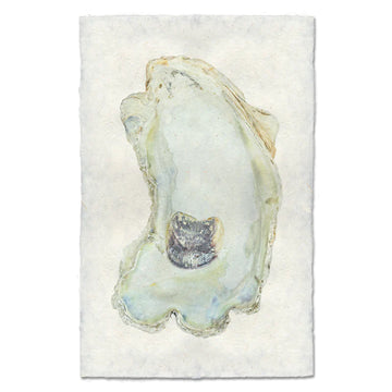 OYSTER STUDY #13