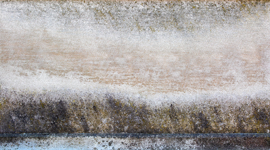 Scott Farrell | 
