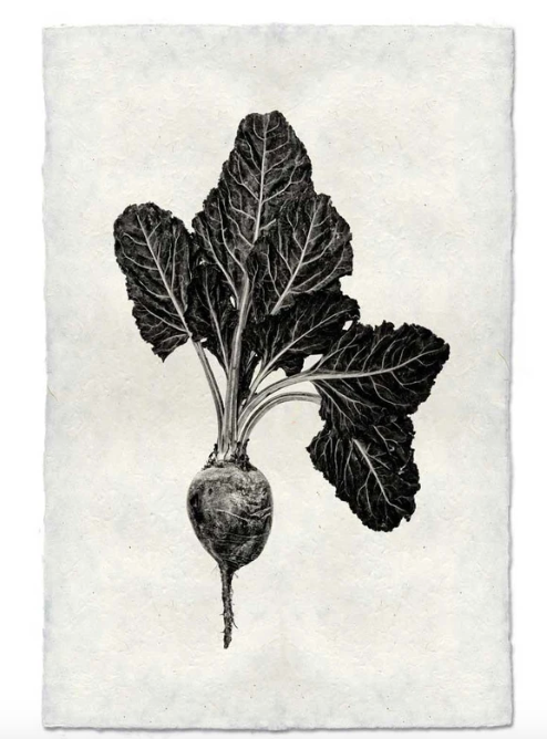 RED BEET