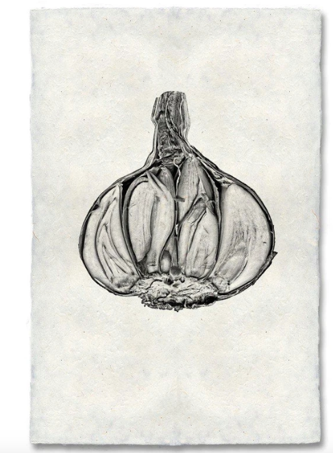 GARLIC