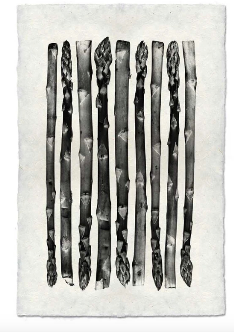 NINE ASPARAGUS