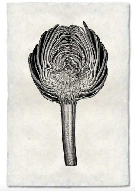 ARTICHOKE