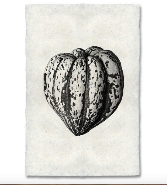 HEIRLOOM SQUASH