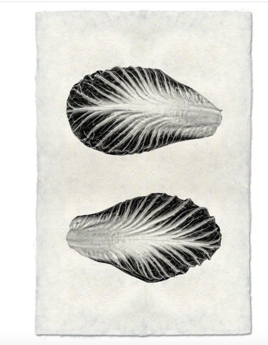 ENDIVE