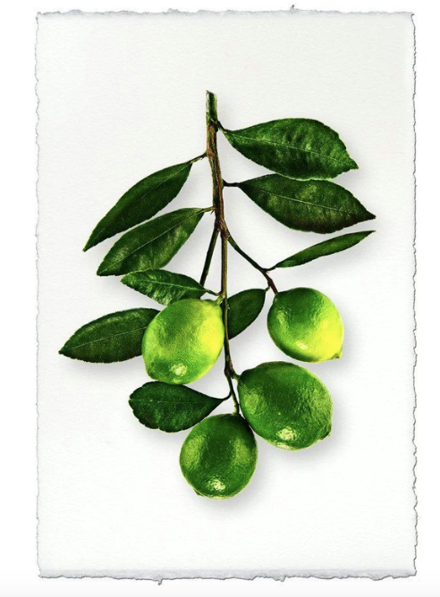 FOUR LIMES