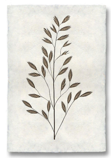 BURR #2