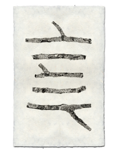 HORIZONTAL TWIGS #1