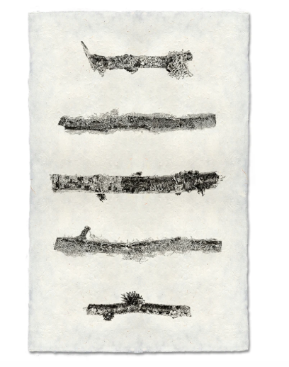 HORIZONTAL TWIGS #2