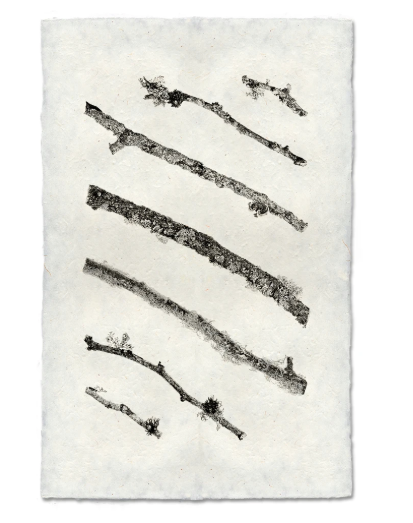 ANGLED TWIGS #2