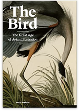 The Bird: The Great Age of Avian Illustration