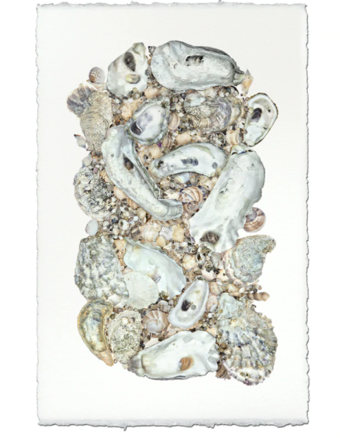 Collective Oysters