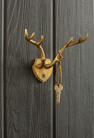 Cast Iron Gold Leaf Antler Hook