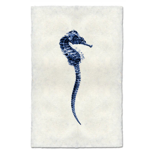 Seahorse #1, Blue