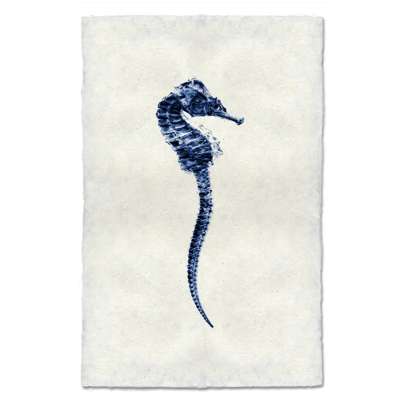 Seahorse #1 (Blue)