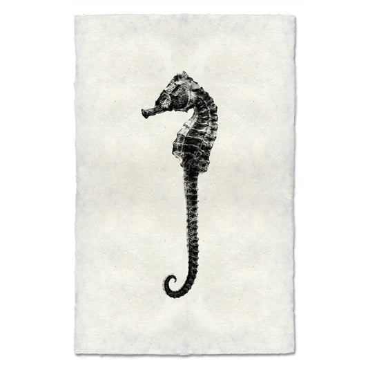 Seahorse #2, B&W