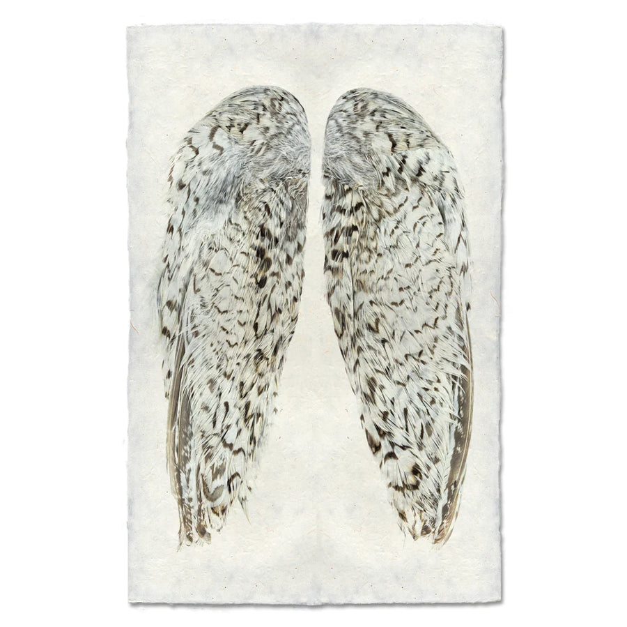Snowflake Quail Wings - Feathers
