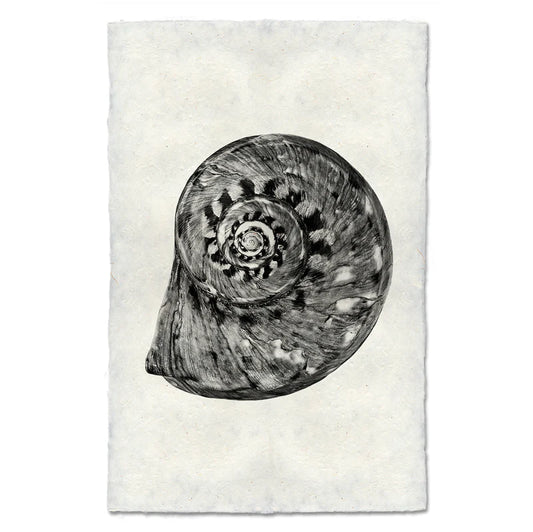 Spiral, B&W