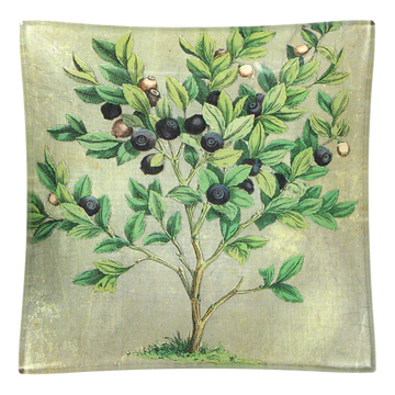 Blueberries Un Vide Poche (6