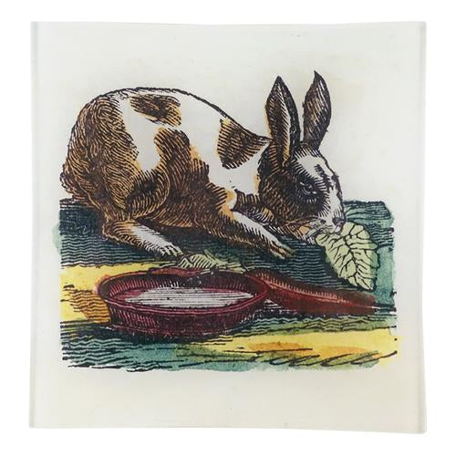 Munching Rabbit - Un Vide Poche