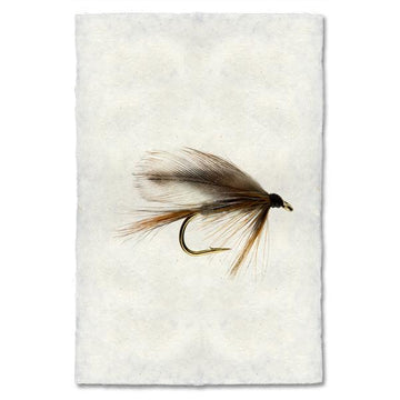 Fly Fishing Print - Adams