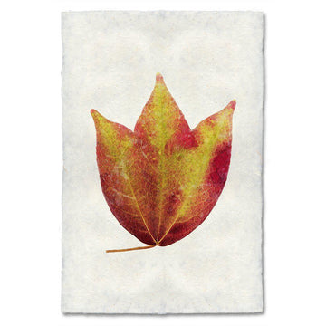 Autumn Leaf Print- AMERICAN CRANBERRY