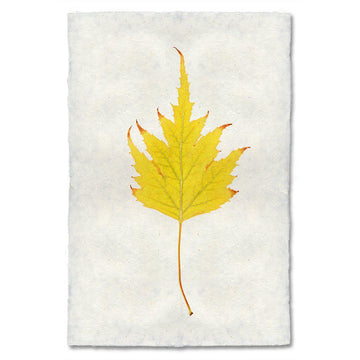 Autumn Leaf Print- BIRCH LEAF