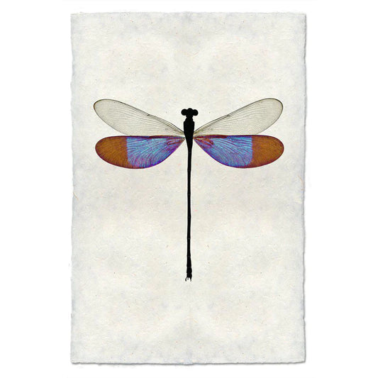 Blue Damsel