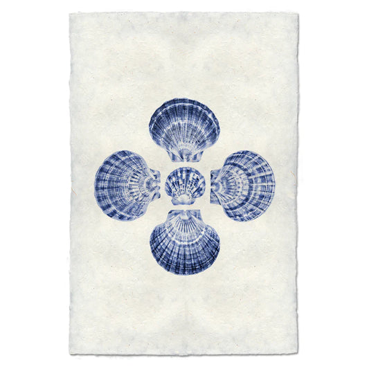 5 Scallops, Blue