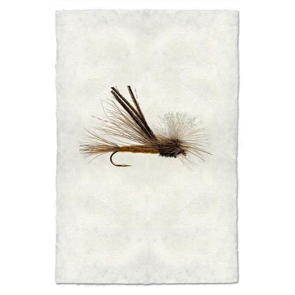 Fly Fishing Print - Bugmeister