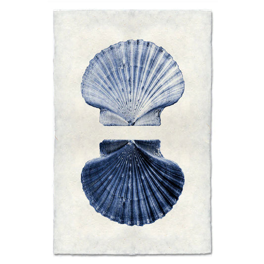 Double Shell, Blue