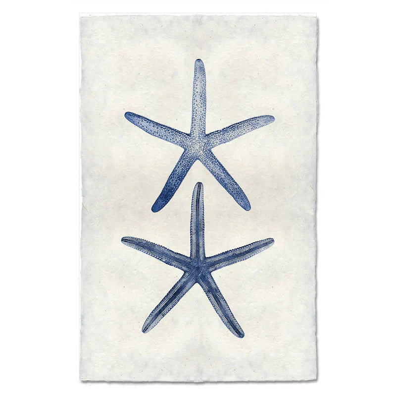 Double Starfish, Blue