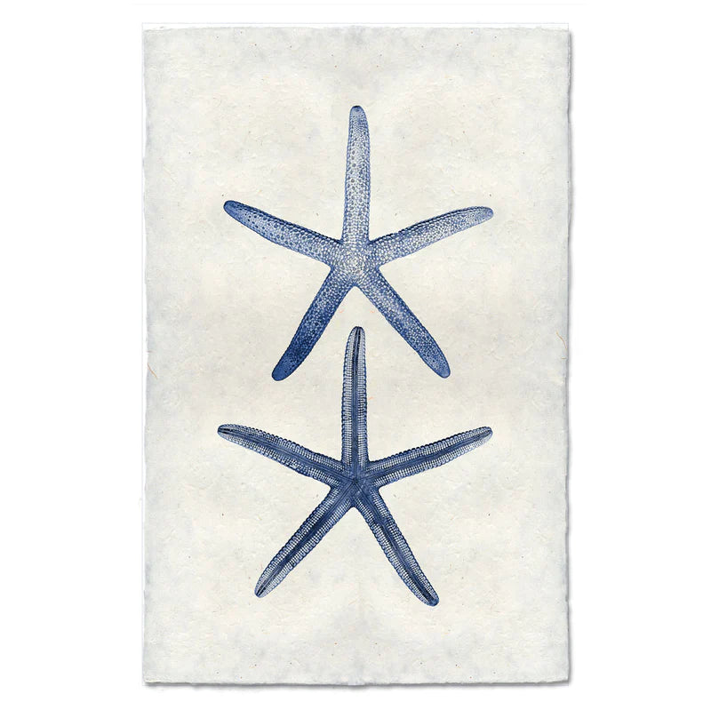 Double Starfish (Blue)