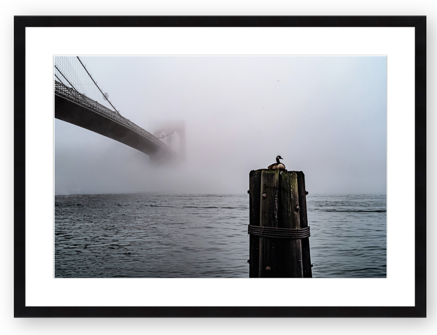 Brooklyn Bridge Goose 10 x 15 framed & matted