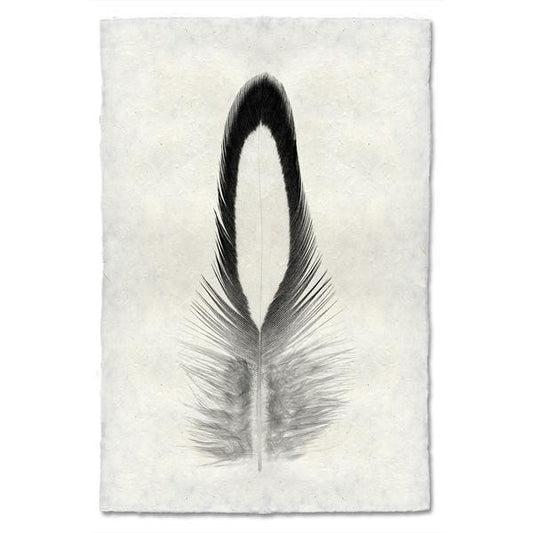 Lady Amherst Pheasant Tippet Feather